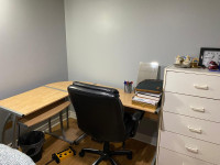 Spring/Summer Female-Only Sublet - McMaster