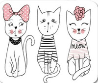 ISO- Kitten for March 30