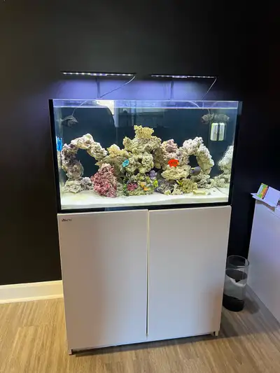 aquarium for Sale, View more