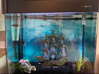 Fish tank 50 gallons