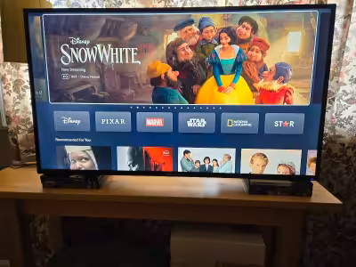 40" Proscan LED TV $10 - Model: PLDED4016A-G - works fine - no stand, no remote hence the price - no...