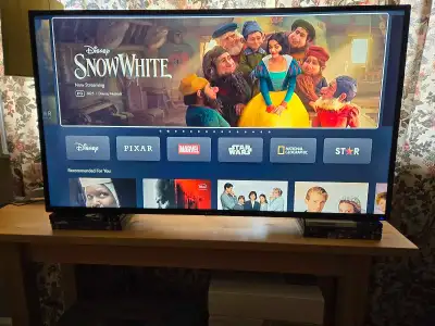 40" Proscan LED TV $10 - Model: PLDED4016A-G - works fine - no stand, no remote hence the price - no...