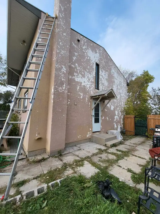 Pro Painter63235315470467124