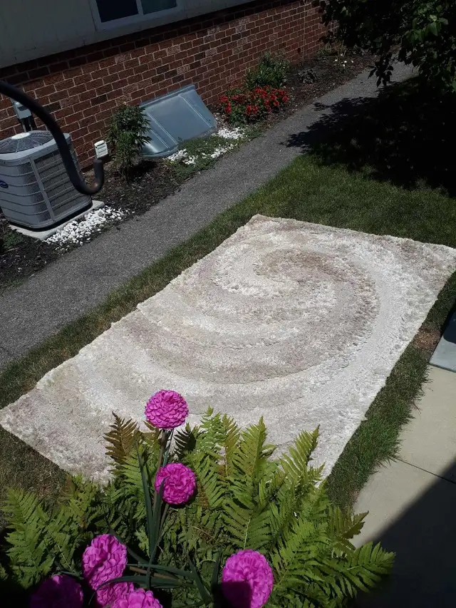 area  carpet rug in Rugs, Carpets & Runners in Ottawa - Image 2