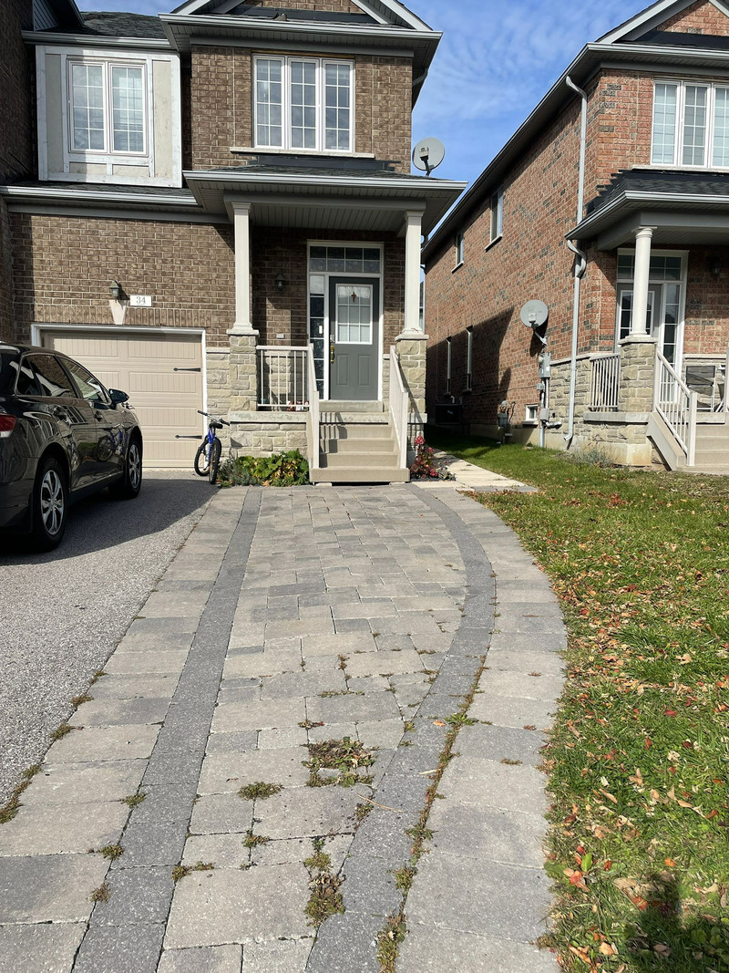 Newly renovated basement apartmt (Aurora) with separate entrance Long