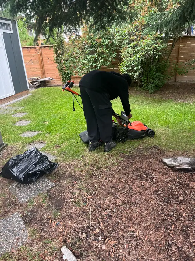 Lawn Mowing Service