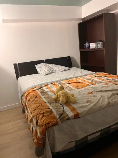 Basement room for rent