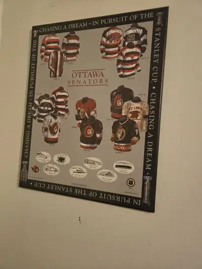 Ottawa senators wood picture , View more