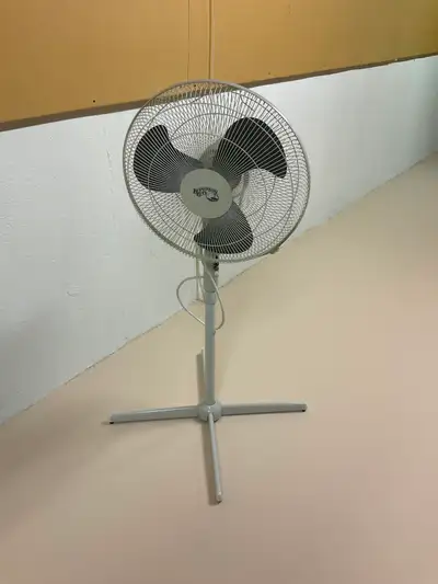 Electric Fan, View more