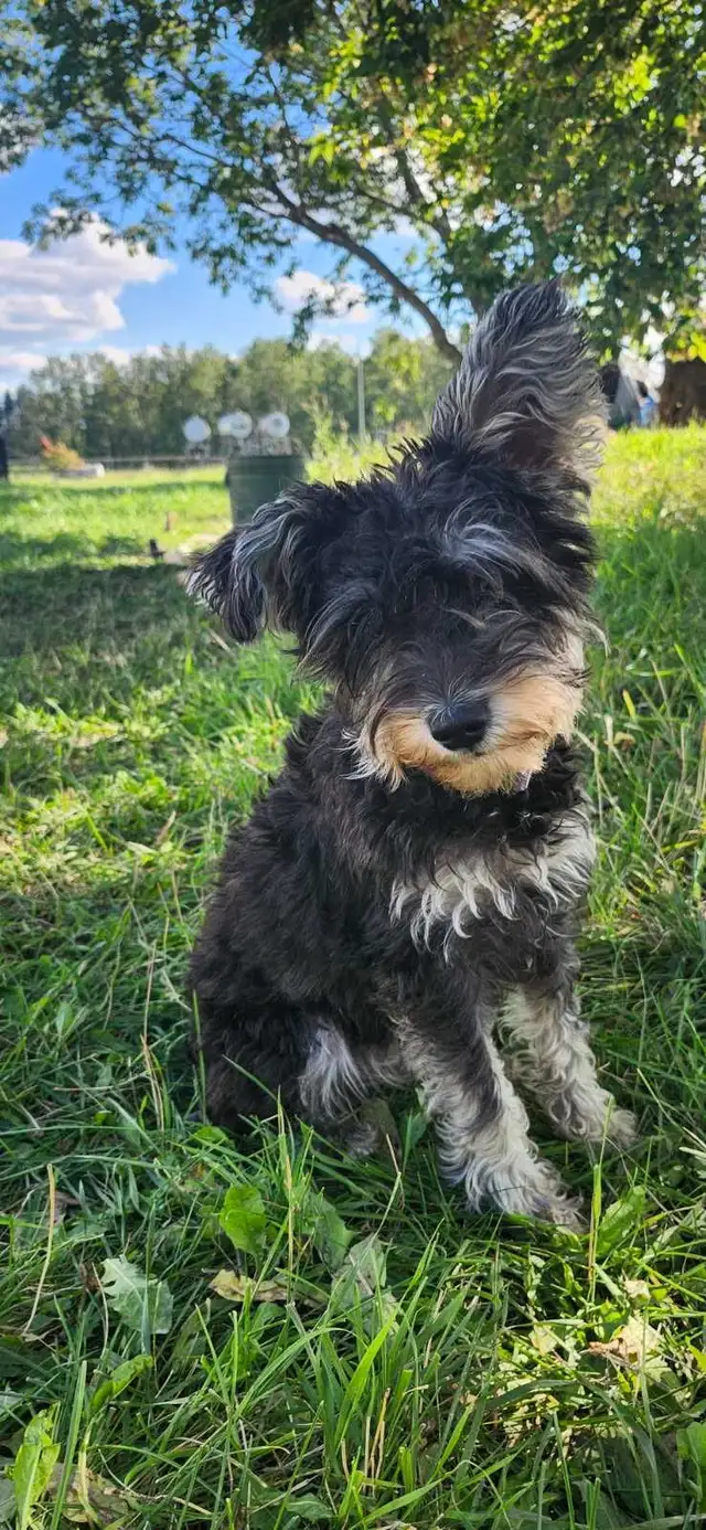 MISSING-REWARD429387495161221120