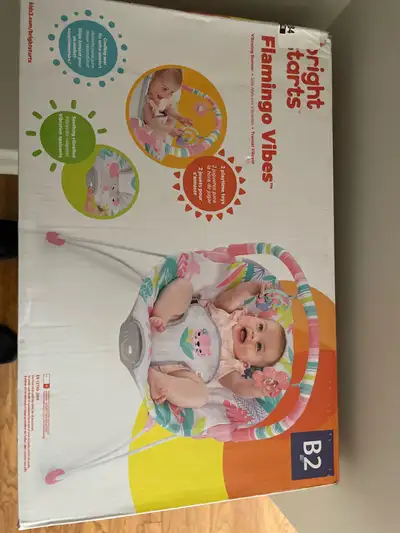 Bright Starts Bouncer, View more