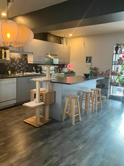Colocation Hochelaga Maisonneuve 760 tout inclus