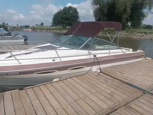 boat  searay in Powerboats & Motorboats in St. Catharines - Image 9