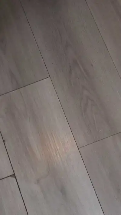 35 gallon+ 2.5 gtallon terrarium/turtle or reptile tank , View more