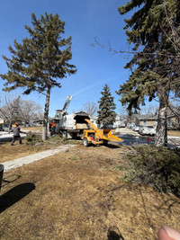 DLC Tree Removal-Fully Insured-⭐️Best Rates-Free Estimate⭐️