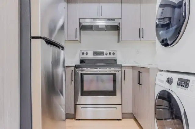 1-Bedroom Basement Suite (with In-Suite Washer/Dryer) in Long Term Rentals in Delta/Surrey/Langley - Image 7
