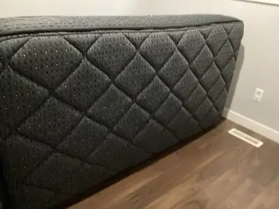 Twin Sealy Mattresses, View more