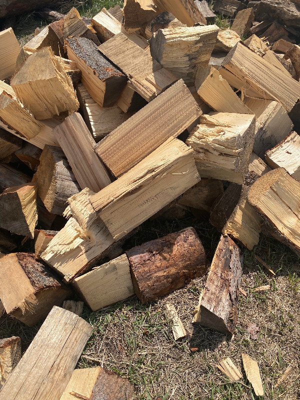 Cheap Mixed Firewood in Other in Calgary - Image 4