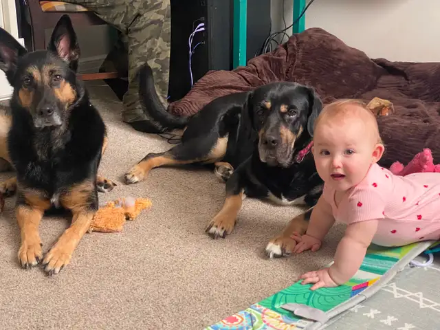 Looking for apartment