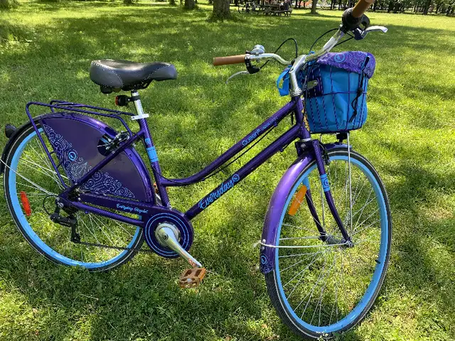 Women's Bicycle553852285359892483