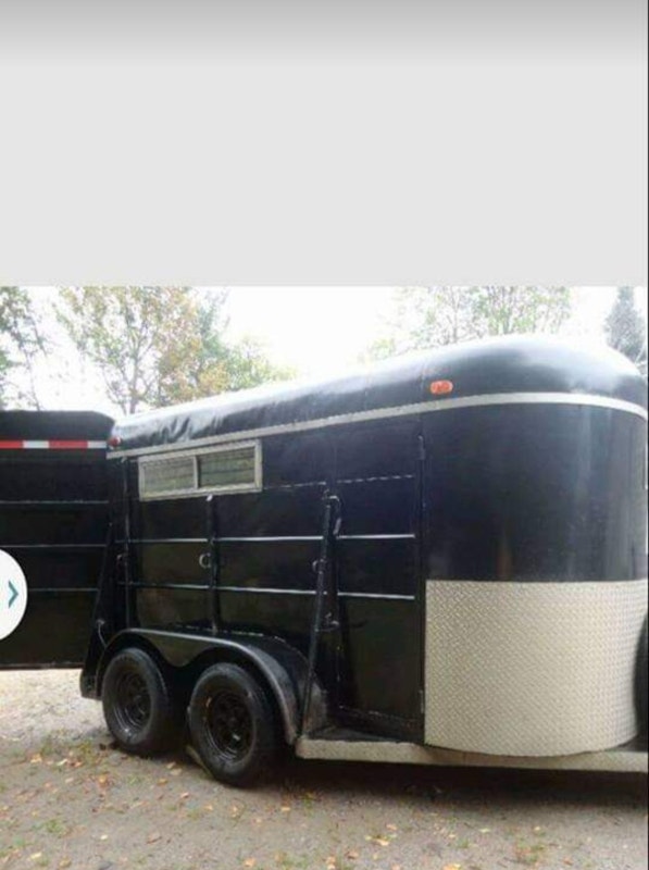 Beautiful horse trailer Equestrian & Livestock Accessories Sault