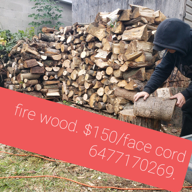 Fire wood for sale $150. Face cord. Free delivery in Fireplace & Firewood in City of Toronto