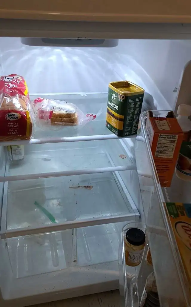 looking for help 65415157657602120