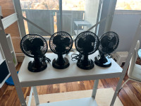 6-inch fans