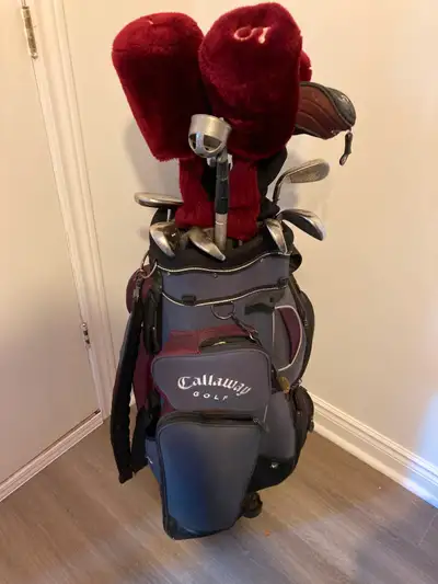 Ladies Golf Clubs Galloway Golf Bag with umbrella Big Bertha Hawkeye Driver Fairway woods 3, 5, 7 an...