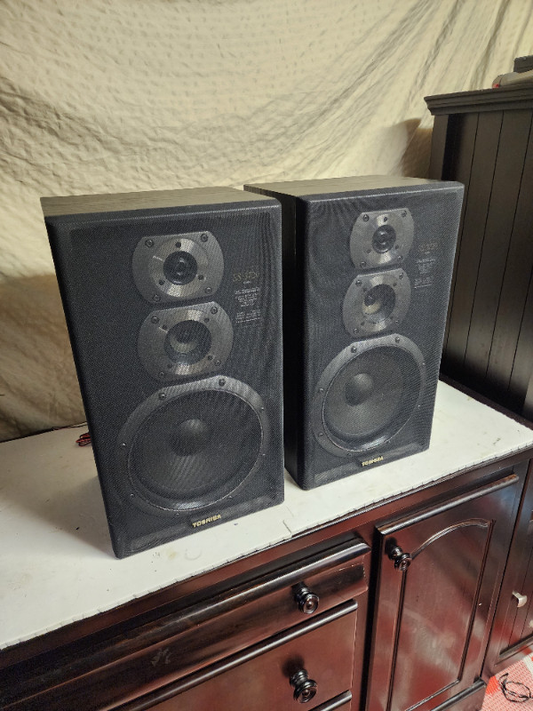 Toshiba vintage speakers SS-3729 3 way bookshelf in Speakers in Oakville / Halton Region