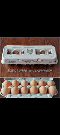 Farm Raised Chicken Eggs For Sale 