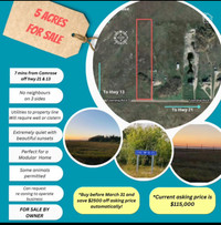 CAMROSE COUNTY!!  5 ACRES raw land. 7 mins from Camrose.