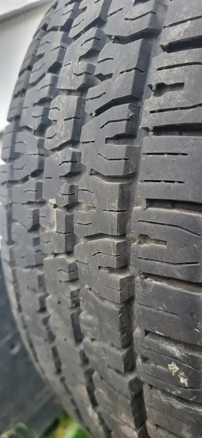 Tire and rims