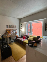 sous-location mai-juin/ may-june sublet