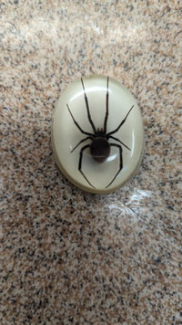 Vintage acrylic real black widow spider pendant 
