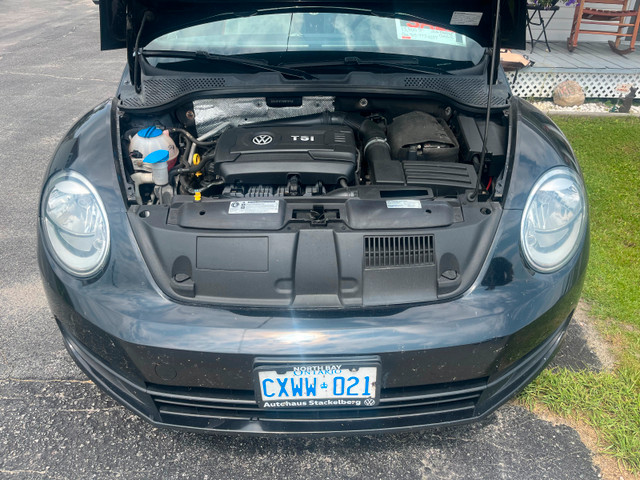 2016 Volkswagen Beetle classic in Cars & Trucks in North Bay - Image 4