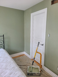 Capital Painters (613)302-9295 call,text or email