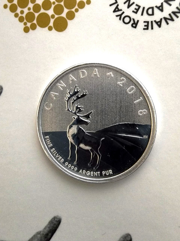 The Caribou Coin 2018 in Arts & Collectibles in London - Image 4