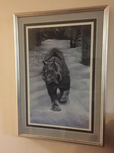 Lynx In Professional Frame, View more