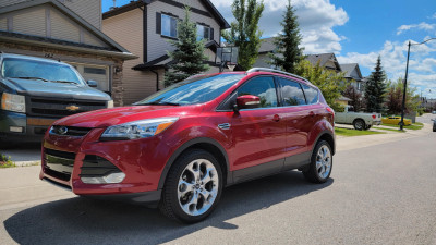 The Amazing Ruby - 2016 Ford Escape Titanium