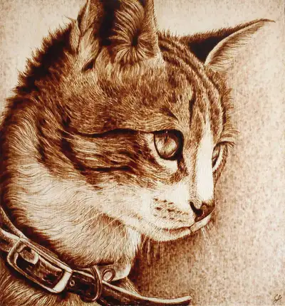 ORIGINAL WOODBURNED PET PORTRAITS: COMMISSIONS, MEMORIALS, ETC., View more