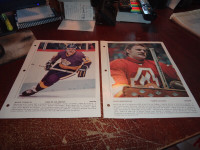 the best players of nhl colours photos lot of 15 1980-1981