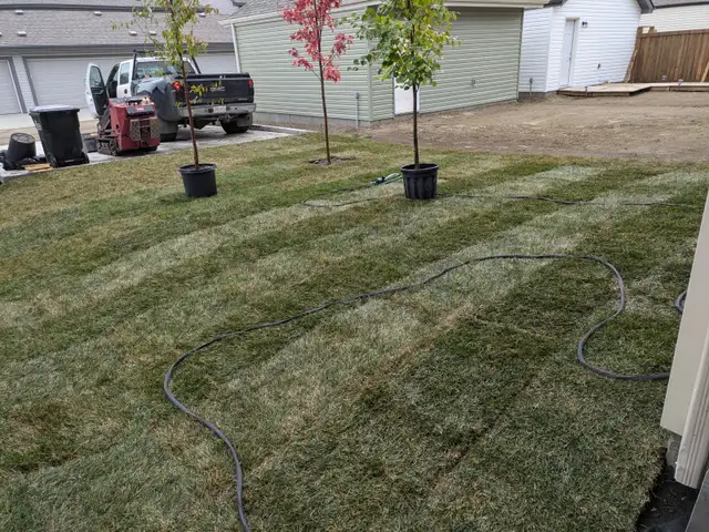 LANDSCAPING AND FENCE in Lawn, Tree Maintenance & Eavestrough in Edmonton - Image 12