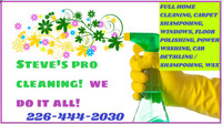 PRO CLEAN, CLEANING - HOME, CARPETS, CARS, YARDS, WINDOWS, DECKS