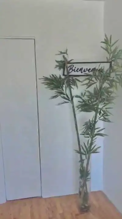 Beau grand 4 1/2, avec entrée laveuse et sécheuse dans la salle de bain, accès à une cour arrière cl...