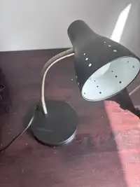 Desk Lamp that also includes Black Light bulb