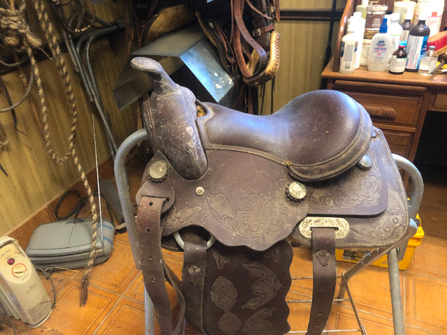 Horse tack for sale in Equestrian & Livestock Accessories in Leamington - Image 3