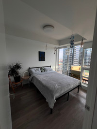 1bedroom apartment in DownTown 