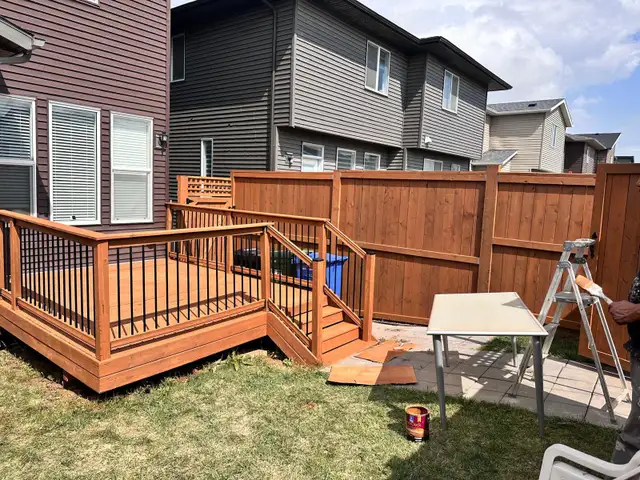 Professional Painter470945044492472321