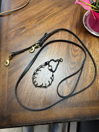 prong collar and leash , View more